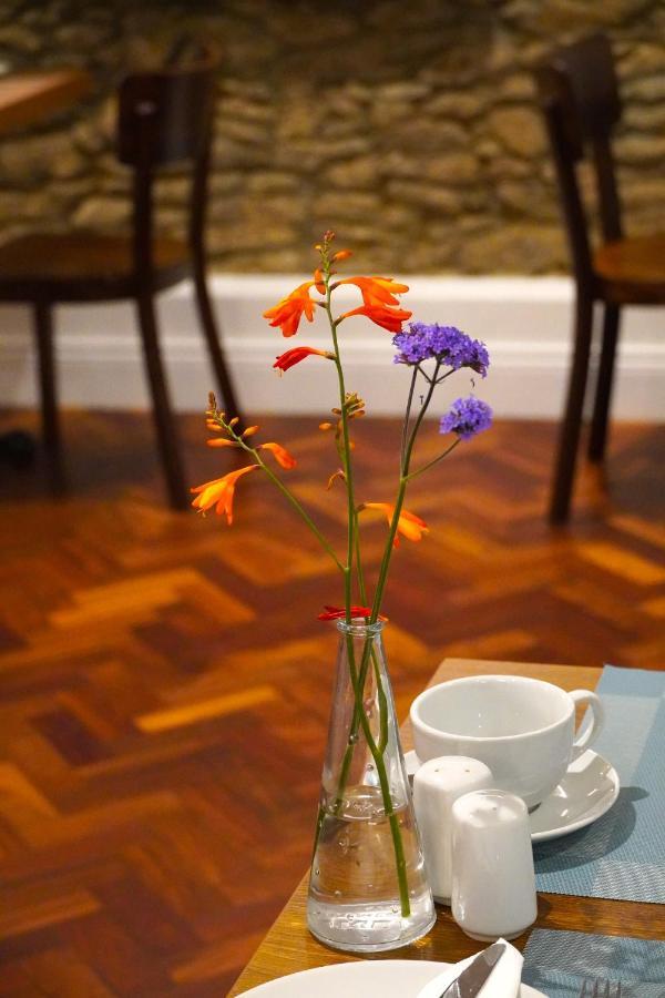 Bed and Breakfast Dingle Garden Townhouse Екстер'єр фото A vase of flowers