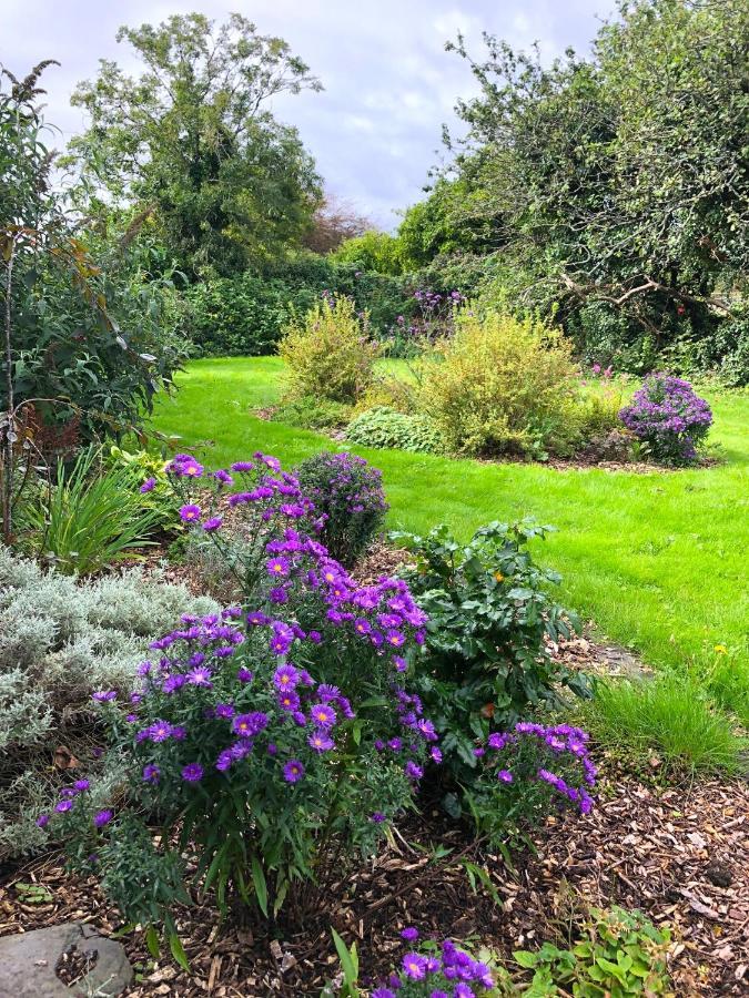 Bed and Breakfast Dingle Garden Townhouse Екстер'єр фото The gardens at the centre