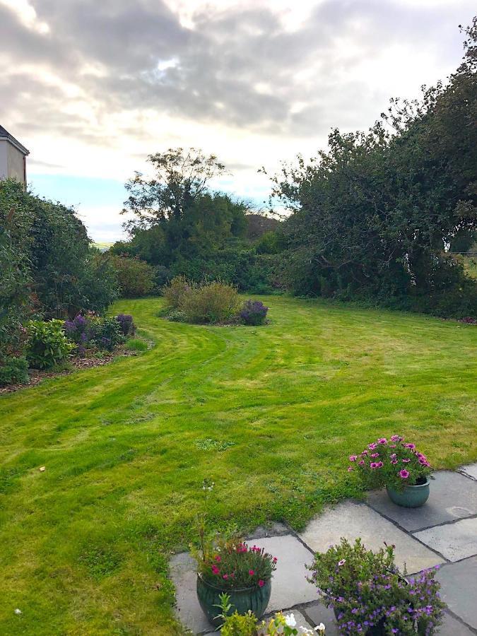 Bed and Breakfast Dingle Garden Townhouse Екстер'єр фото The garden of the house