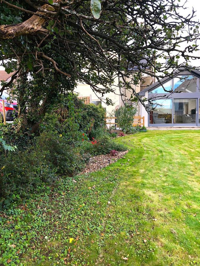 Bed and Breakfast Dingle Garden Townhouse Екстер'єр фото The garden of the house