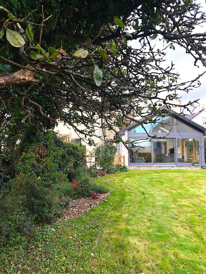 Bed and Breakfast Dingle Garden Townhouse Екстер'єр фото The garden of the house